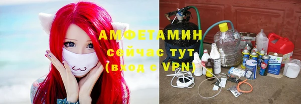 стафф Вяземский